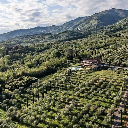 Ampio Appartamento Completamente Rinnovato Con Vista E Piscina Lucca Dış mekan fotoğraf